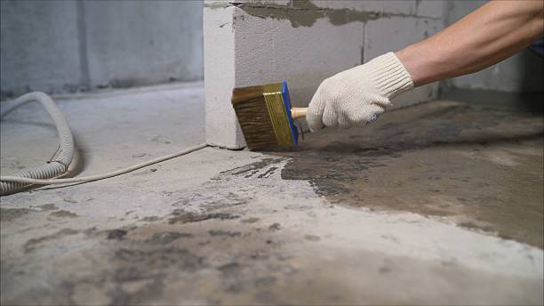 Top rated local Crawl Space Encapsulation specialists in Fredericksburg, VA